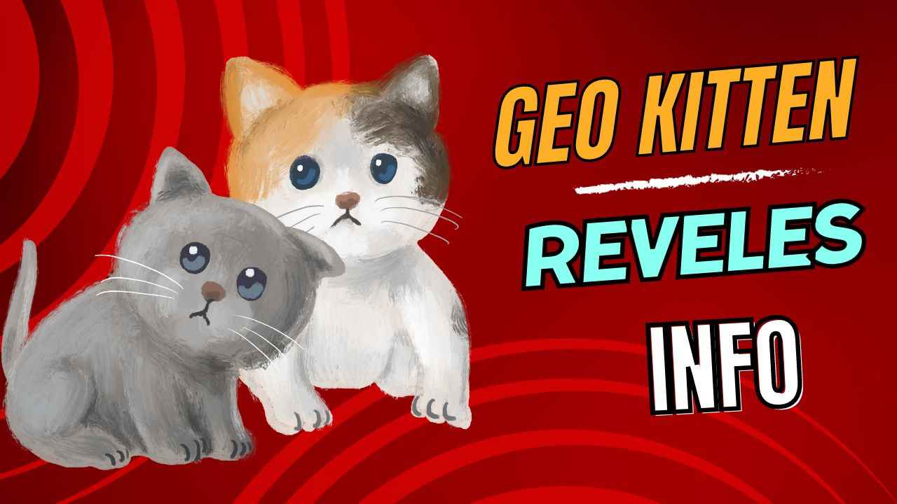 Geo Kitten Game